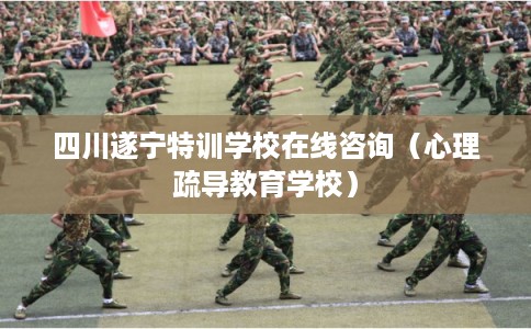 四川遂宁特训学校在线咨询（心理疏导教育学校）