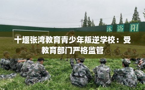 十堰张湾教育青少年叛逆学校：受教育部门严格监管