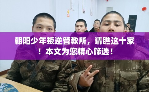 朝阳少年叛逆管教所，请瞧这十家！本文为您精心筛选！