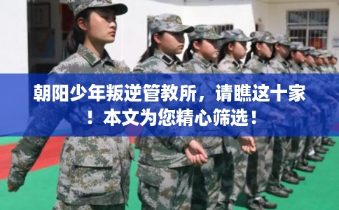 朝阳少年叛逆管教所，请瞧这十家！本文为您精心筛选！