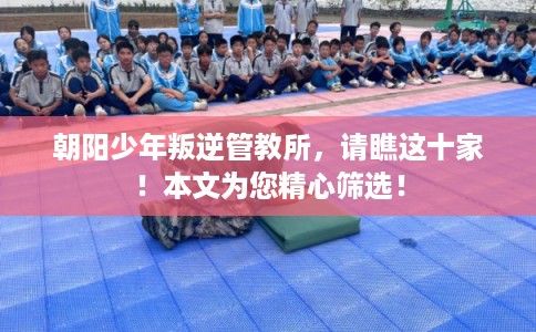 朝阳少年叛逆管教所，请瞧这十家！本文为您精心筛选！