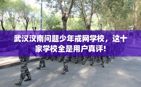 武汉汉南问题少年戒网学校，这十家学校全是用户真评!