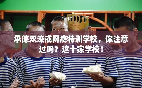 承德双滦戒网瘾特训学校，你注意过吗？这十家学校！