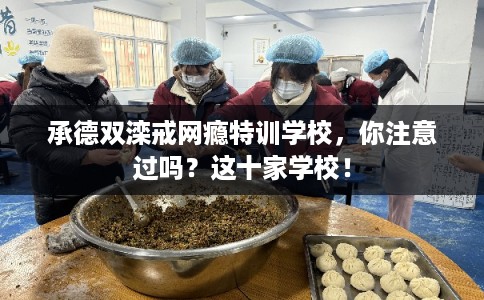 承德双滦戒网瘾特训学校，你注意过吗？这十家学校！