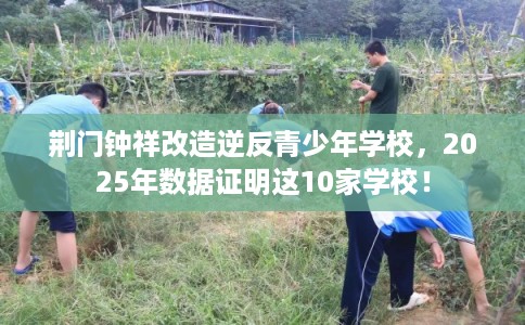 荆门钟祥改造逆反青少年学校，2025年数据证明这10家学校！