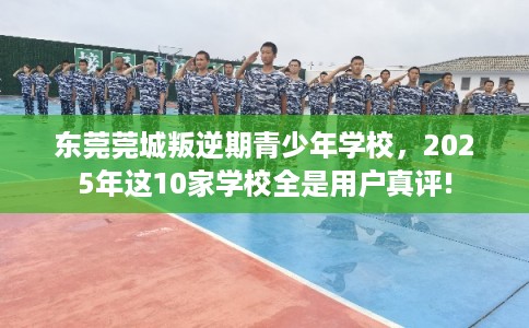 东莞莞城叛逆期青少年学校，2025年这10家学校全是用户真评!