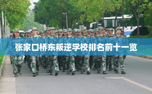 张家口桥东叛逆学校排名前十一览