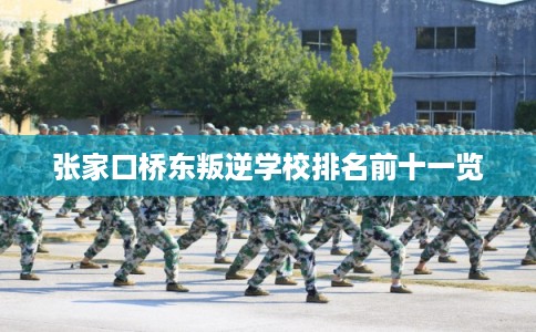 张家口桥东叛逆学校排名前十一览