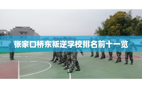 张家口桥东叛逆学校排名前十一览