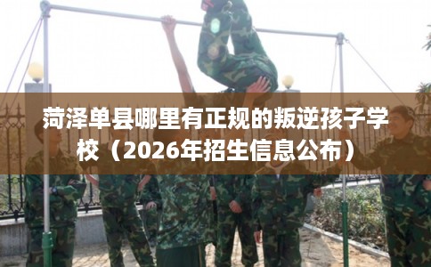 菏泽单县哪里有正规的叛逆孩子学校（2026年招生信息公布）