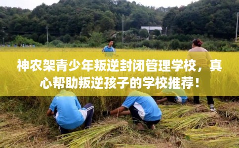 神农架青少年叛逆封闭管理学校，真心帮助叛逆孩子的学校推荐！