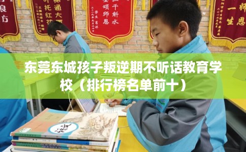 东莞东城孩子叛逆期不听话教育学校（排行榜名单前十）