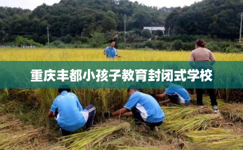 重庆丰都小孩子教育封闭式学校