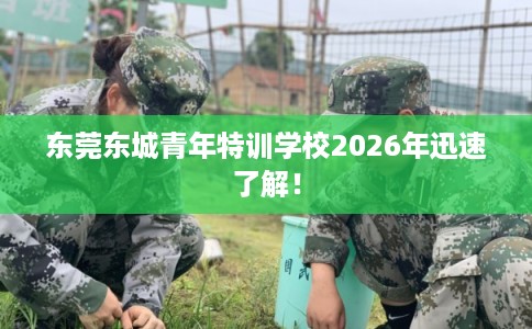 东莞东城青年特训学校2026年迅速了解！