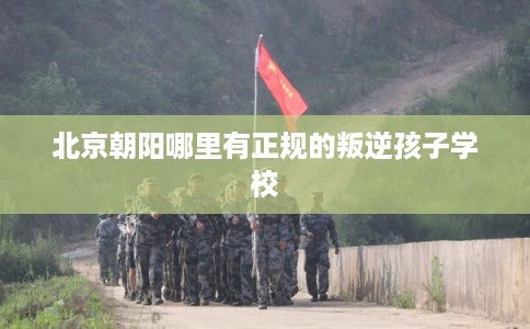 北京朝阳哪里有正规的叛逆孩子学校