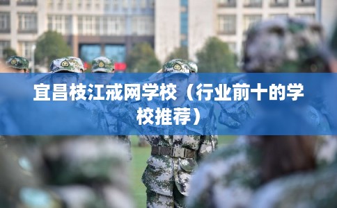 宜昌枝江戒网学校（行业前十的学校推荐）