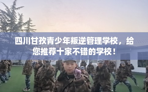 四川甘孜青少年叛逆管理学校，给您推荐十家不错的学校！