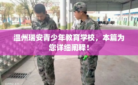 温州瑞安青少年教育学校，本篇为您详细阐释！
