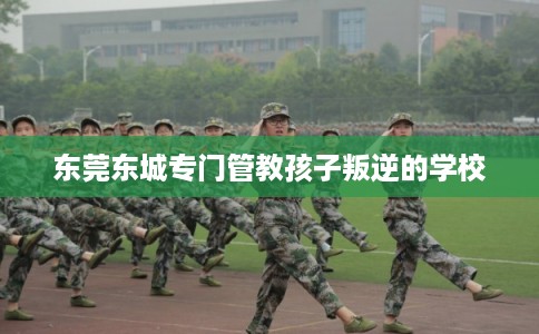 东莞东城专门管教孩子叛逆的学校