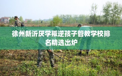 徐州新沂厌学叛逆孩子管教学校排名精选出炉
