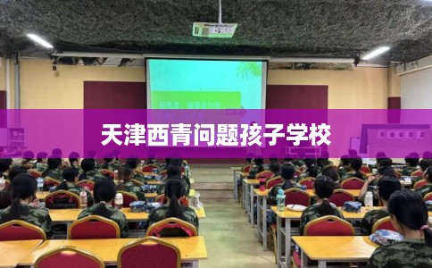 天津西青问题孩子学校
