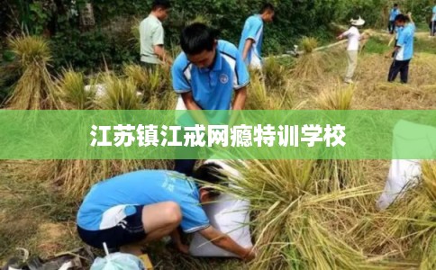 江苏镇江戒网瘾特训学校