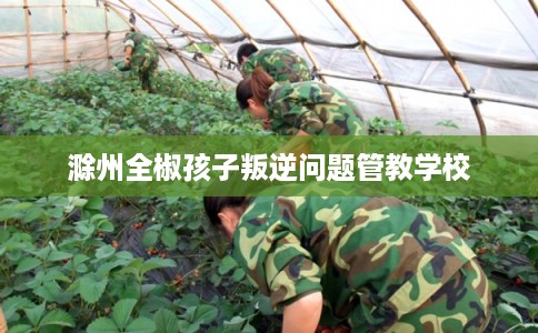 滁州全椒孩子叛逆问题管教学校