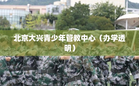 北京大兴青少年管教中心（办学透明）