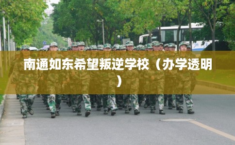 南通如东希望叛逆学校（办学透明）