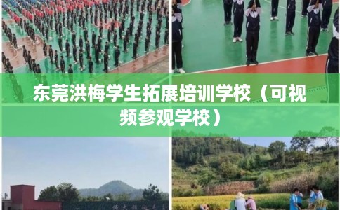 东莞洪梅学生拓展培训学校（可视频参观学校）