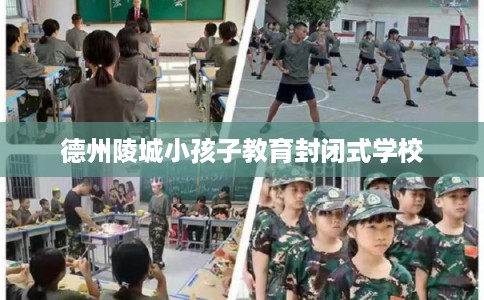 德州陵城小孩子教育封闭式学校