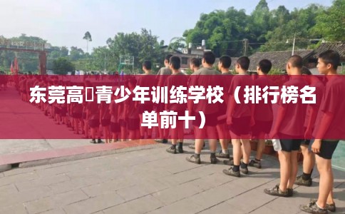 东莞高埗青少年训练学校（排行榜名单前十）