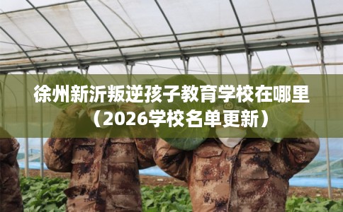 徐州新沂叛逆孩子教育学校在哪里（2026学校名单更新）