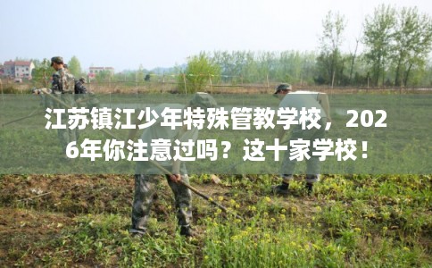 江苏镇江少年特殊管教学校，2026年你注意过吗？这十家学校！