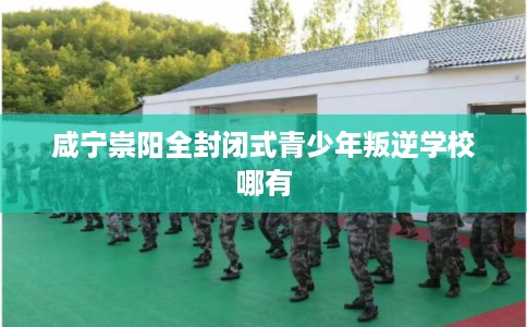 咸宁崇阳全封闭式青少年叛逆学校哪有