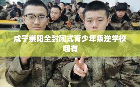 咸宁崇阳全封闭式青少年叛逆学校哪有