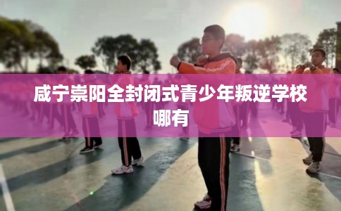 咸宁崇阳全封闭式青少年叛逆学校哪有