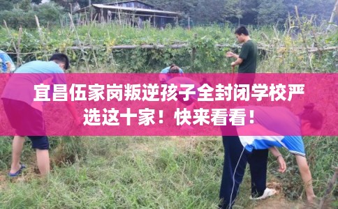 宜昌伍家岗叛逆孩子全封闭学校严选这十家！快来看看！