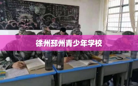 徐州邳州青少年学校