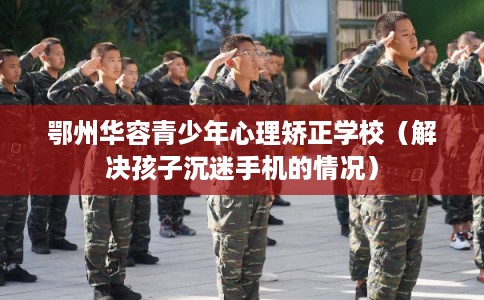 鄂州华容青少年心理矫正学校（解决孩子沉迷手机的情况）