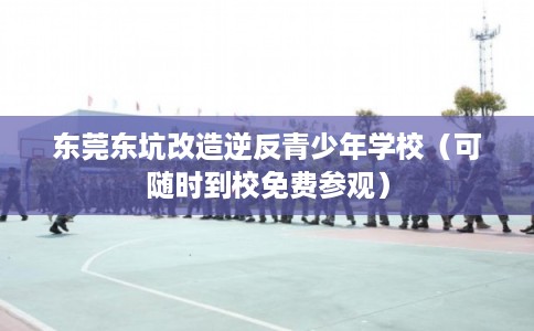 东莞东坑改造逆反青少年学校（可随时到校免费参观）