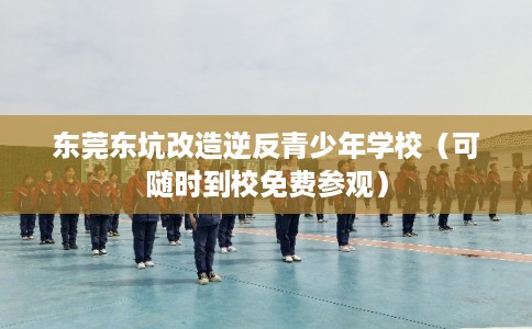 东莞东坑改造逆反青少年学校（可随时到校免费参观）
