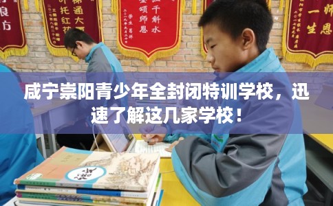 咸宁崇阳青少年全封闭特训学校，迅速了解这几家学校！