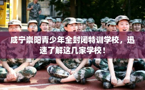 咸宁崇阳青少年全封闭特训学校，迅速了解这几家学校！