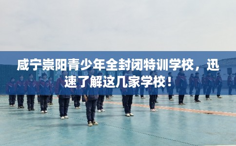 咸宁崇阳青少年全封闭特训学校，迅速了解这几家学校！