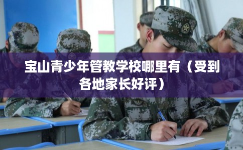 宝山青少年管教学校哪里有（受到各地家长好评）