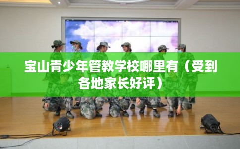 宝山青少年管教学校哪里有（受到各地家长好评）