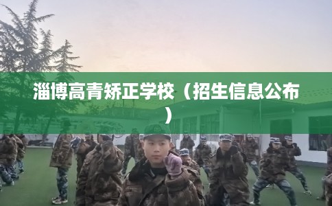 淄博高青矫正学校（招生信息公布）