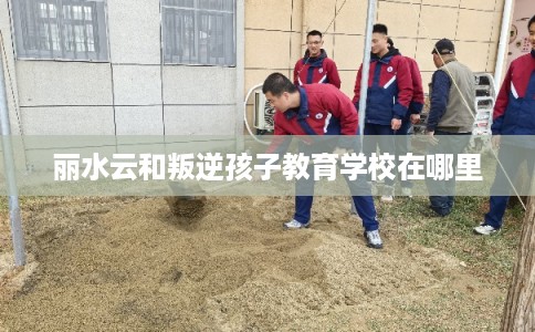 丽水云和叛逆孩子教育学校在哪里