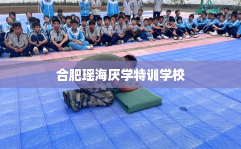 合肥瑶海厌学特训学校